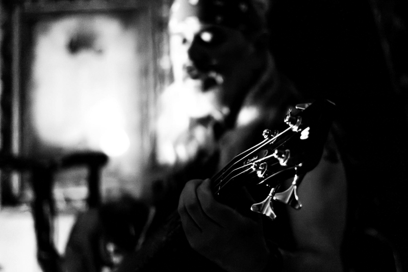 Driftwood Holly "Freuden-Feuer" Tour 2024