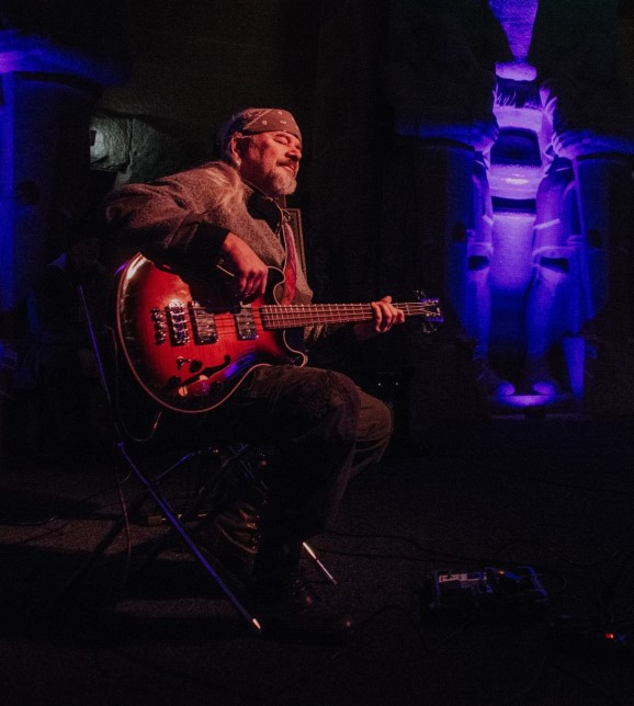 Driftwood Holly ER~LEB~NIS Tour 2026