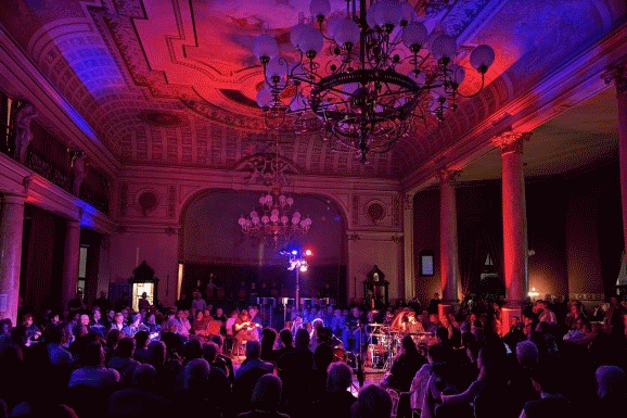 Driftwood Holly ER~LEB~NIS Tour 2026