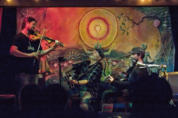 Driftwood Holly Herbst Tour 2015