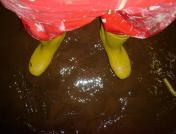 Hochwasser HfM Ddn/J&auml;cki Reznicek